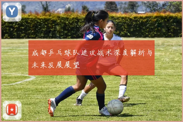 成都乒乓球队进攻战术深度解析与未来发展展望